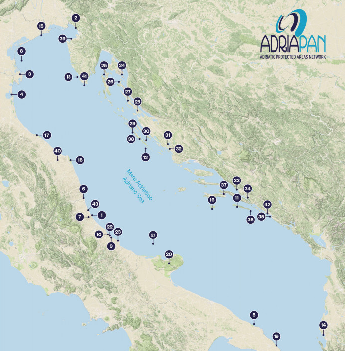 ADRIONPAN_network